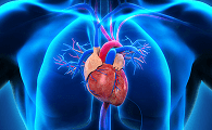 heart image