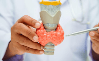 Thyroid