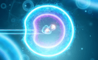 Infertility